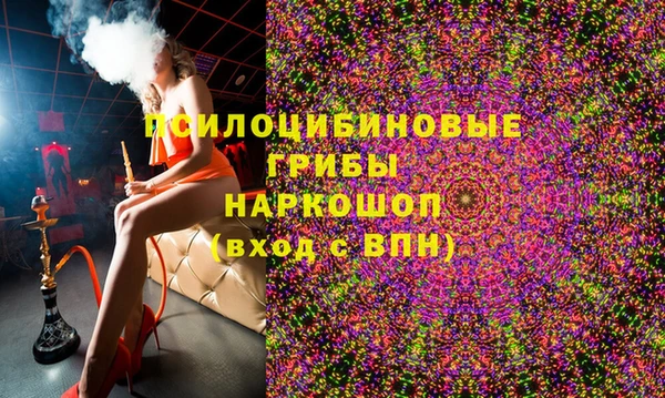 молекула духа Алексин