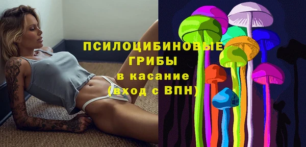молекула духа Алексин